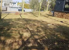 Dry winter lawn before irrigation was installed