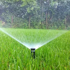 Pop-up spray sprinkler watering a newly irrigated lawn