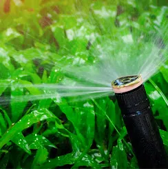 Close-up of a sprinkler head spraying over a garden bed